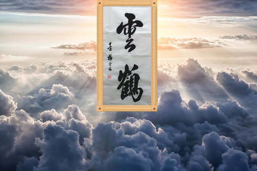 影响世界的著名艺术家 杨金锡